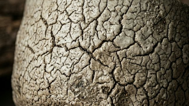 意識の深層へ降りる美学の旅