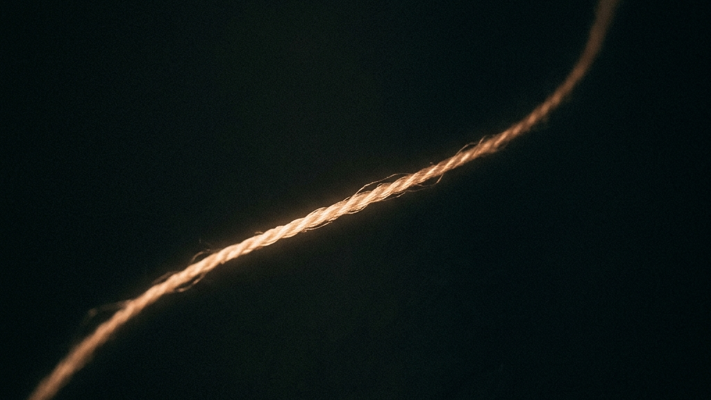 西陣織の強靭な糸と時を超越する引き算の美学