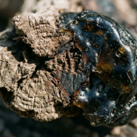 工芸の深淵なる源流へ：「日本工芸週間2025」が提示するヘリテージ・リソースという新たな文脈