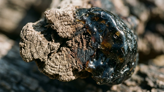 工芸の深淵なる源流へ：「日本工芸週間2025」が提示するヘリテージ・リソースという新たな文脈