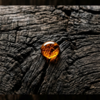 琥珀の時を所有するということ ── 幻の軽井沢ウイスキーとKANDOBLANCが描く新たな文化の継承