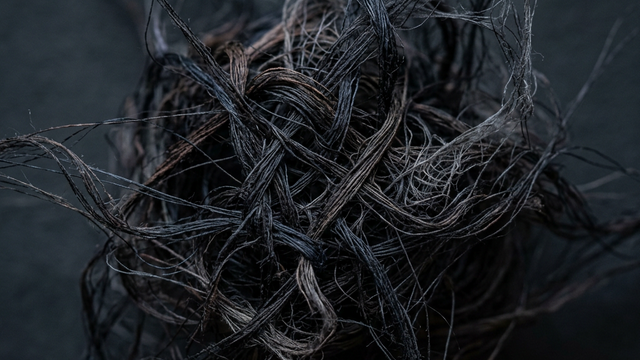 二元論を超克する「縁」と「空」の思想 ── 分断された現代社会への処方箋