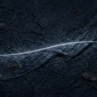 西陣織のプラチナ糸が放つ静謐なる光と和紙のミクロ定着構造