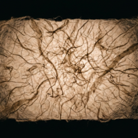 真理を喚起するテクノロジーの呼び水 ── ZOZO NEXT「呼色」が提示する、工芸と先端技術の静寂なる邂逅