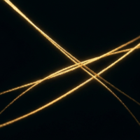 黄金の糸が抽象的な光を放ちながら静謐に交差するマクロショット