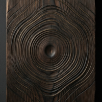 暗い木目と共鳴する音波を表現した極めてミニマルなコンセプチュアルアート